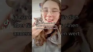How I feel about hamsters 🐹 Is a hamster worth less than another pet? - For me, no