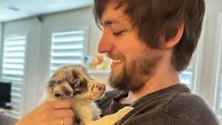 We Got a New Dog... Introducing Koda