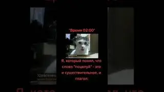 Мемы по ТикТоку #993