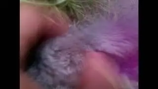 Ушной клещ  у кроликов . Лечение и профилактика.