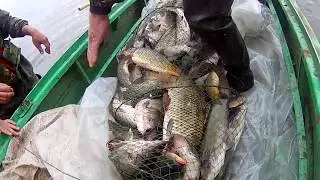 рыбалка ловля сазана
