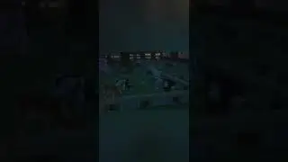 Поведение лошадок в табуне | Жеребец зазывает кобыл ближе к выходу с настулением сумерков #swem