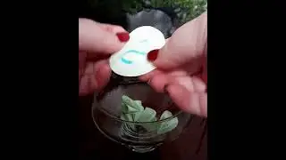 Дневники крота