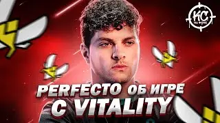 Interview with Perfecto | Cloud9 vs. Vitality: What Went Wrong? Opinion on Team Spirit | Vlog #2 ...