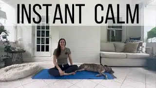 Regulate + Reset Nervous System Grounding Flow