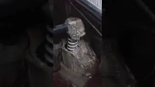 Разврат в багажнике