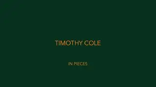 TIMOTHY COLE - 'IN PIECES' AVAILABLE TO STREAM/DOWNLOAD ON ALL PLATFORMS.