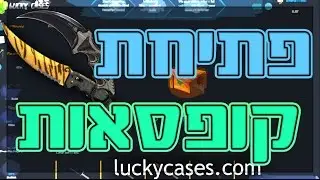 CS:GO case opening 250$ - קיבלנו Karambit black laminate