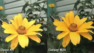 Oppo K1 Vs Galaxy M20 Camera Test Comparison