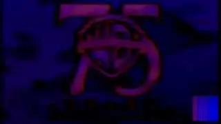 Warner Bros. 75TH Anniversary Blackstretched