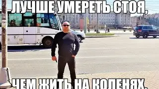 никола питерский вороны