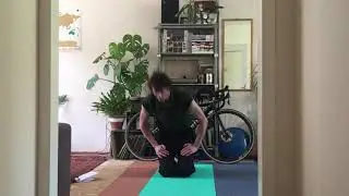 Sporten met dieren - Meester Mark