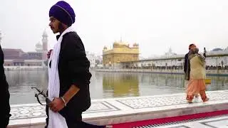 GOLDEN TEMPLE ( HARMANDHIR SAHIB ) - Free Stock Footage - Non Copyright Video