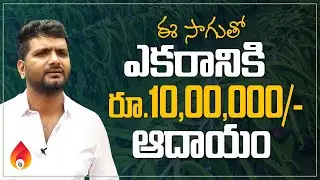 ఈ సాగుతో లక్షల్లో ఆదాయం | most inspiring young farmer story | dragon fruit farming