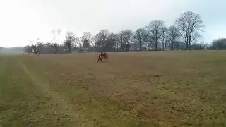 Klara und Num haben Spaß