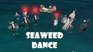 [Revelation Infinite Journey] 10 man Seaweed Dance