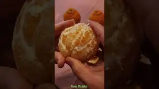 Sumo Citrus from VONS