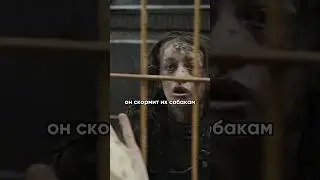 сын живёт в вольере с собаками 