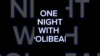 One Night at Polibear