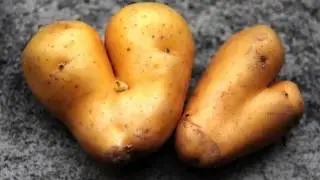 Новая клубная музыка 2015. Просто хит! Голос потрясает!