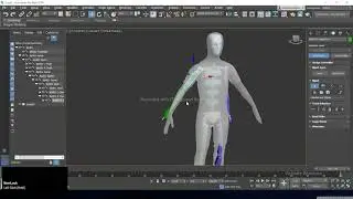 Biped Rigging in 3ds max