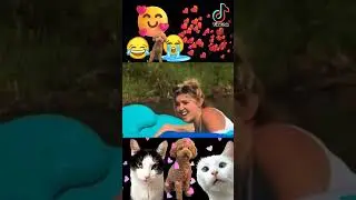 Idaho Four True Crime #idahofour Moscow Idaho 4 Kaylee and Maddie water plus short live #video store