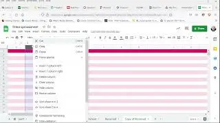 3.2.1: Insert or delete rows and columns (Google Sheets version)