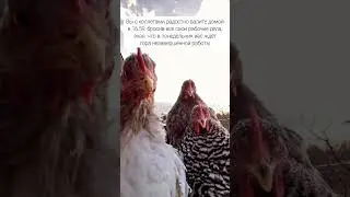 Всё потом