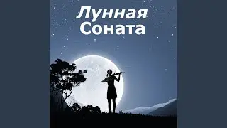 Лунная Соната (Соната для фортепиано № 14)
