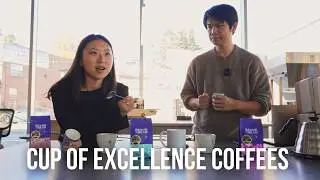 90+ COFFEE COLLAB  - BQ x Bean & Bean Cup of Excellence Coffees