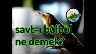 Savt ı bülbül ne demek? bülbülün sesi bülbül sesi