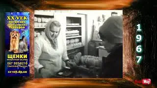 УССР 1967. Вот так выглядели советские гастрономы и ассортимент
