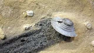 Türkiye'ye Düşen Ufo Olayı (Ege Bölgesi)