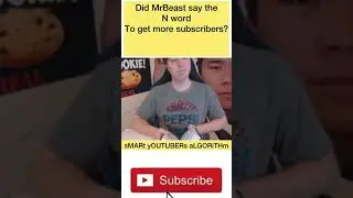 Did MrBeast say the N word to get more subscribers?