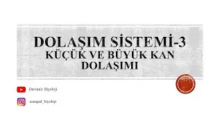 11. Sınıf Dolaşım Sistemi - 3 (Küçük ve Büyük Kan Dolaşımı)