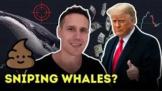 Snipe 1000x New Crypto Projects From Whale Investor Using Poocoin