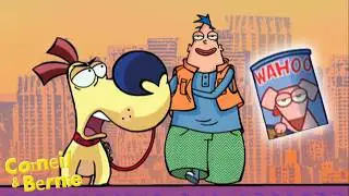 Corneil & Bernie Funny Moments | Dog’s Dinner | Fun Cartoons