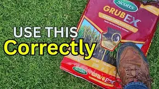 When To Use Grub Ex And Why