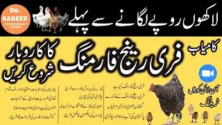 Easy Way to learn and earn Advance Free Range Chicken Farming Training in Pakistan 2022 | Dr kabeer