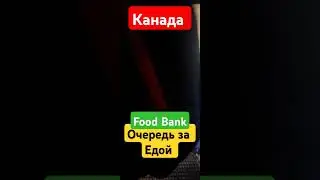 Food Bank. Очередь за едой