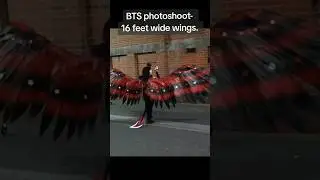16 feet wide cosplay wings for Husk