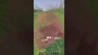 You Can See Through Every Mob Now 