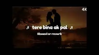 TERE BINA AK PAL LOFI SONG SLOWED REVERB