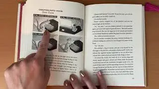 Flora & Ulysses read aloud chapters 52-56