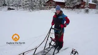 Safety Huskysled France   HD 1080p