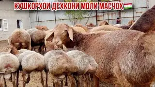 2 ноября 2024 г.