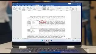 How to Fix Spelling & Grammar Error Check Not Showing in MS Word