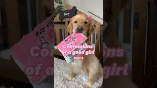 Confessions of a good girl 🐶🎀 