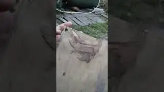 Задание к школе! Кормушка для птиц!!!