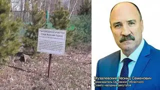 ,, Дешевая дорога’’ для регионального лидера Единой России Музалевского?Или скрытая форма взятки ?